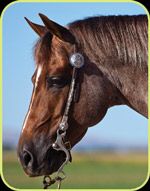 Nabisco Roan