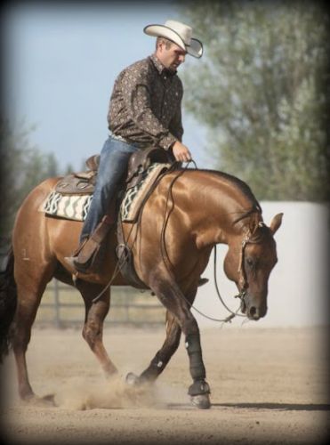 JUMPING JACK WHIZ