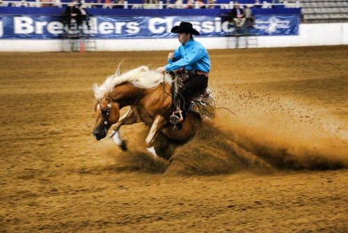 Steppin On Sparks
