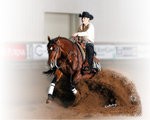 4 Lessons with Serena Seibrandt